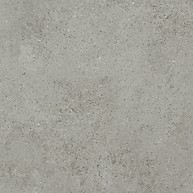 Gigant Silvergrey