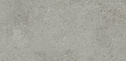 Gigant Silvergrey