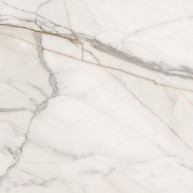 Gptu 609 White Matt