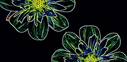 Fluorescent Flower Green Inserto