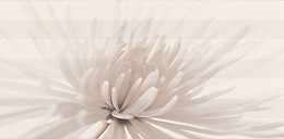 Avangarde White Inserto Flower