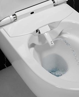 Funkcje toalet myjących - Meissen Keramik