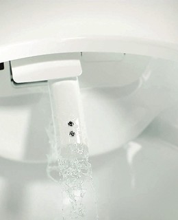 Czyszczenie toalety myjącej - jak o nią dbać?